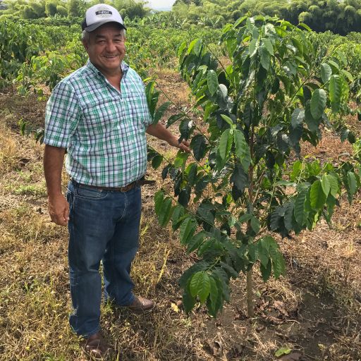 Raisin Essence & Umami Reverie