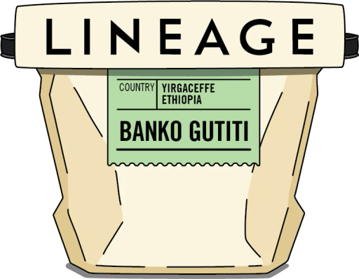 Ethiopia, Banko Gutiti