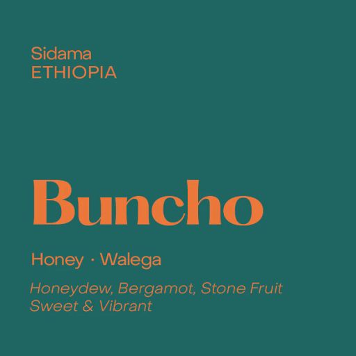 Ethiopia Buncho, Honey Walega
