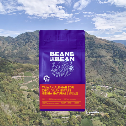 Taiwan Alishan Zou Zhou Yuan Estate Gesha Natural 鄒築園