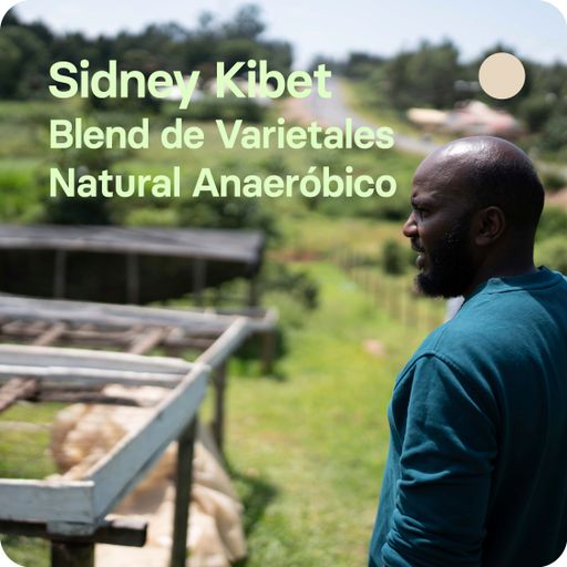 Sidney Kibet, Kenia