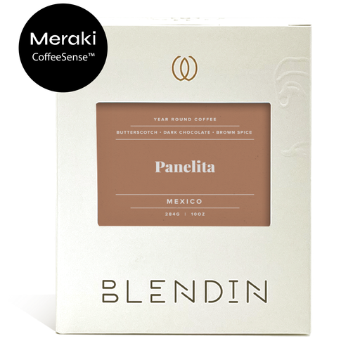 Meraki x BlendIn - Panelita