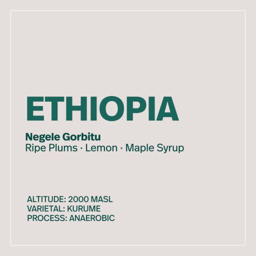 Ethiopia – Negele Gorbitu