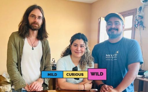 MEXICO | Santa Cruz | Bourbon & Typica | Natural