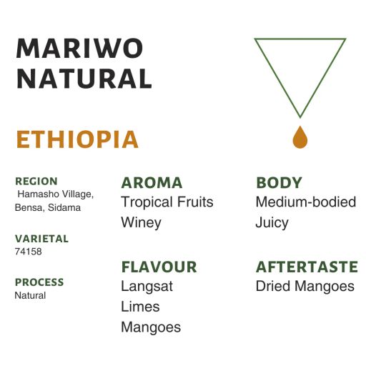 Ethiopia Mariwo Natural