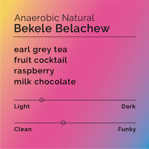 Bekele Belachew Anaerobic Natural