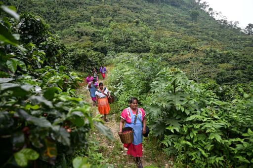 Mexico-Finca San Juan del Vesubio