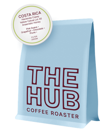 Costa Rica Copey Yellow Catuai Lot 40 (Anaerobic Honey)