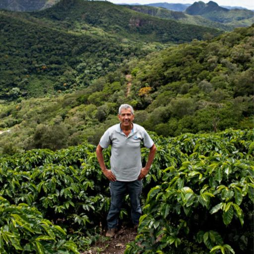 Bolivia - Las Alasitas Geisha - Two Fermentation Lot 24