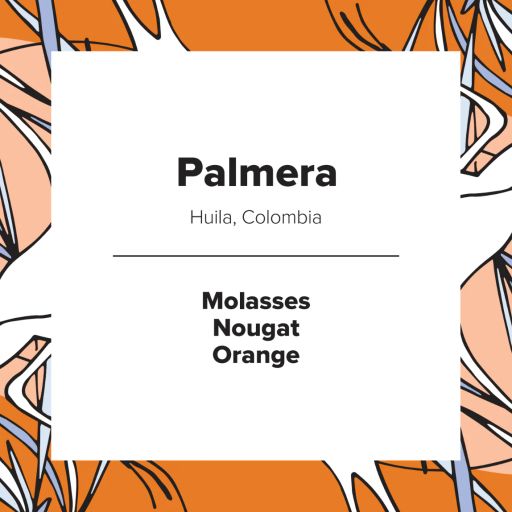 Palmera
