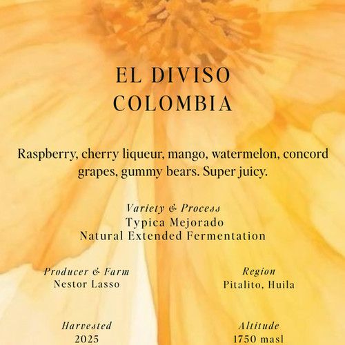 El Diviso, Colombia, Typica Mejorado, Natural Extended Fermentation