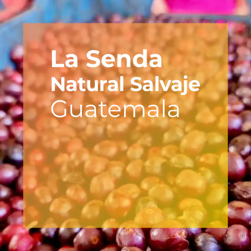 LA SENDA, Natural Salvaje