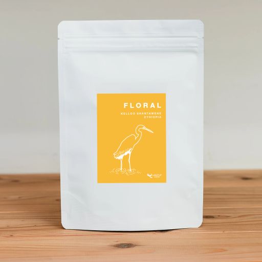 KELLOO SHANTAWENE - ETHIOPIA