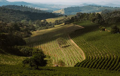 Fazenda Irmãs Pereira
