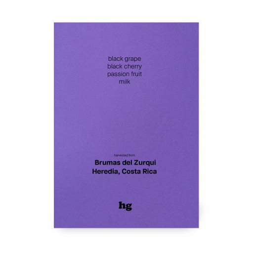 Brumas del Zurqui, Caturra, Natural, Costa Rica