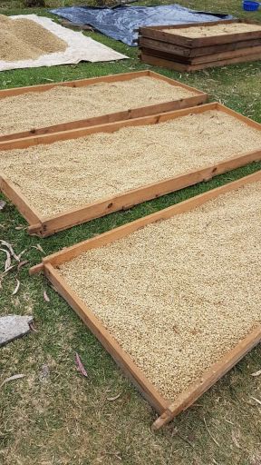 Guatemala San Julian