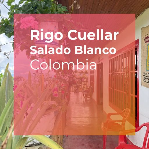 RIGO CUELLAR, Washed Pacamara