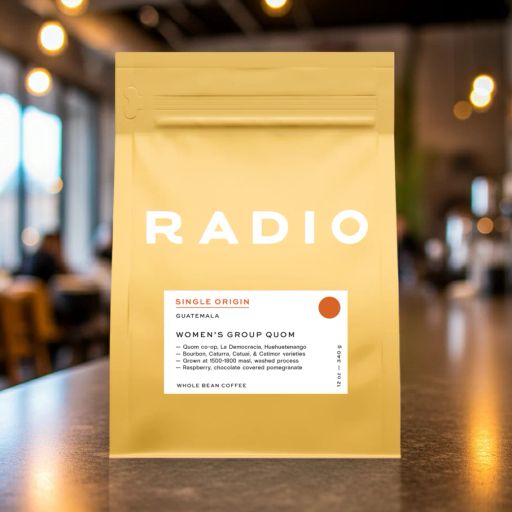 Guatemala: Women's Group Quom