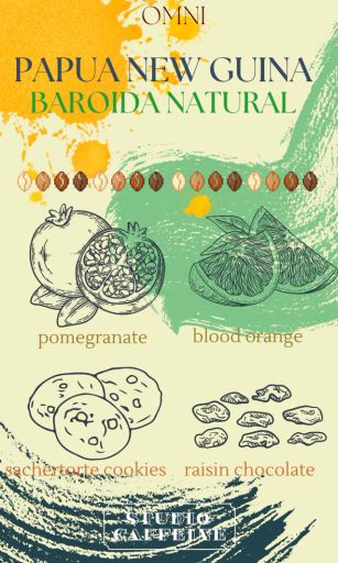 *OMNI* PNG Baroida Natural