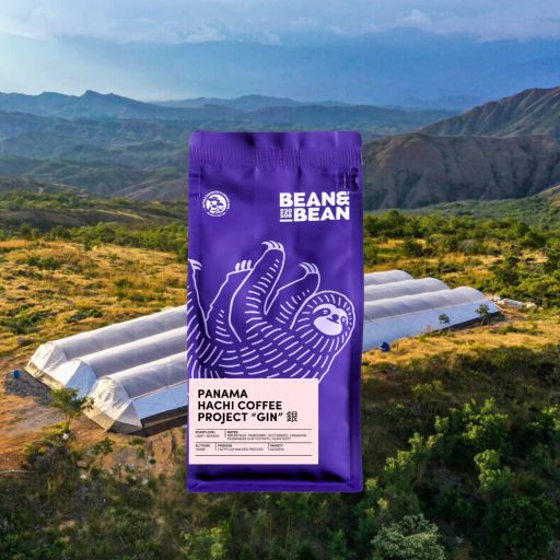 Panama Hachi Coffee Project "GIN"