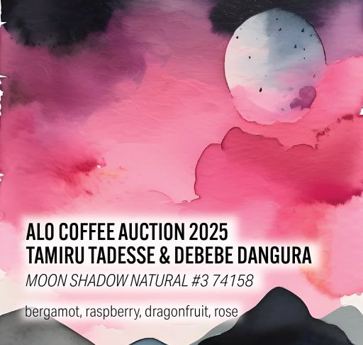 Alo Coffee Auction 2025 - Moon Shadow Natural #3 (MSN3)