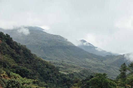 Arnulfo Caro Chiroso, Colombia