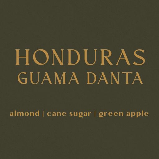 Honduras Reserva Guama Danta - Organic