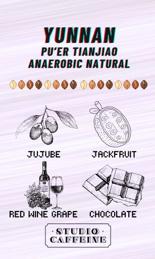 Yunnan Pu'er Tianjiao Anaerobic Natural