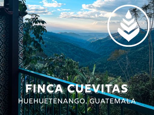 FINCA CUEVITAS
