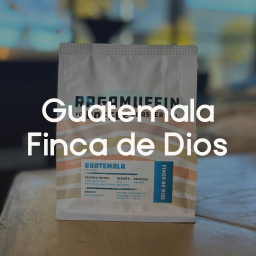Guatemala Finca de Dios