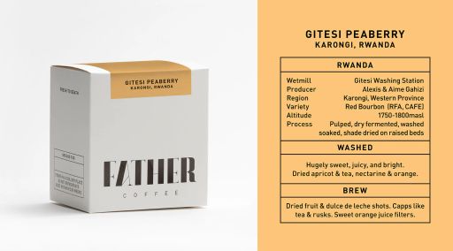 Gitesi Peaberry, Karongi, Rwanda