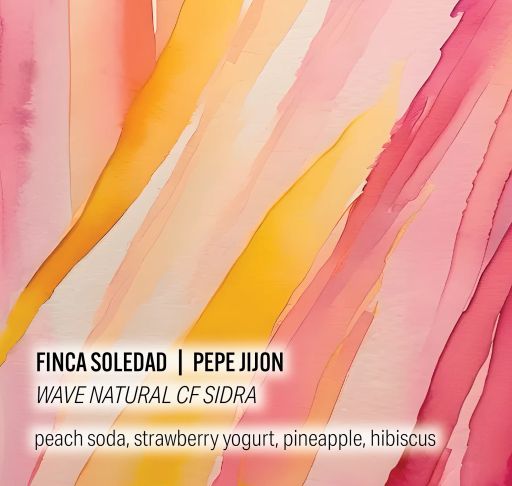 Pepe Jijon Finca Soledad Wave Natural CF Sidra
