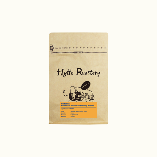 Costa Rica Puente San Antonia Geisha Fully Wased