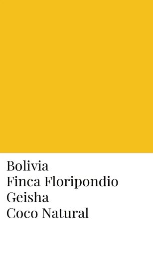 Bolivia Finca Floripondio Coco Natural Geisha