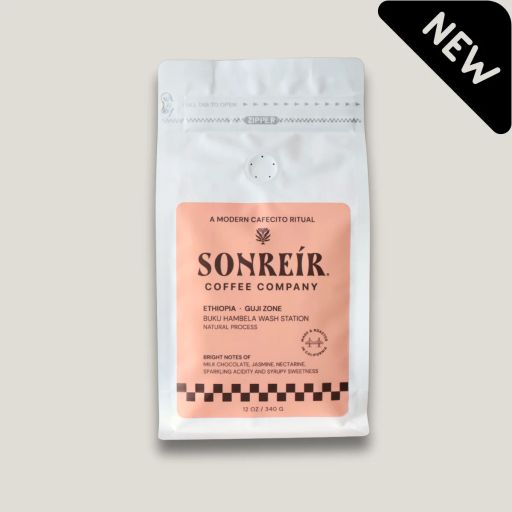 Ethiopia - Guki Buku Hambela Wash Station - Natural