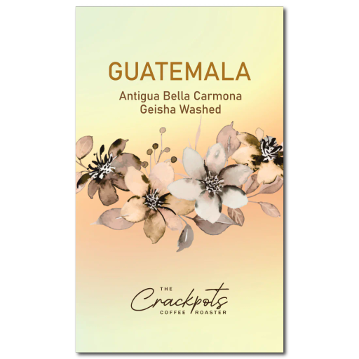 Guatemala Antigua Bella Carmona Geisha Washed