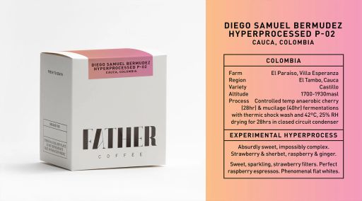 Diego Samuel Bermudez Hyperprocessed Castillo P-02