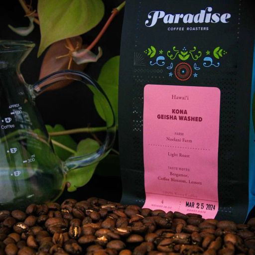 Kona Geisha — 2025 Harvest