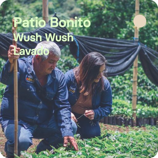 Patio Bonito, Colombia