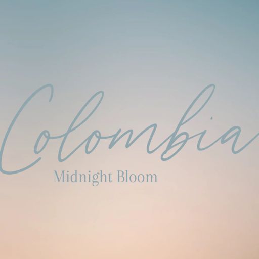 EL PLACER - MIDNIGHT BLOOM
