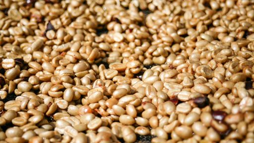 Driftaway Limited x Luis Alberto Baladerez Honey Process