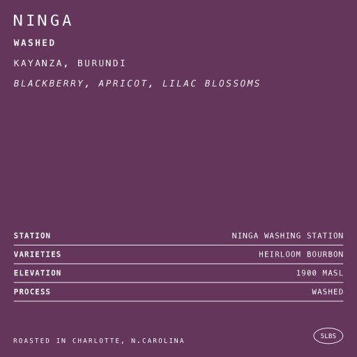 Ninga • Washed