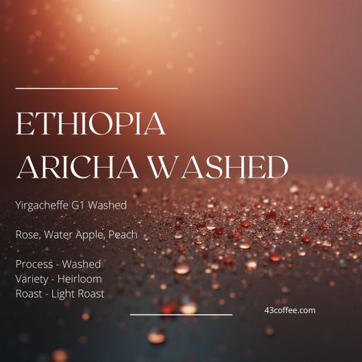 Ethiopia Aricha Washed, G1 Washed Yirgacheffe