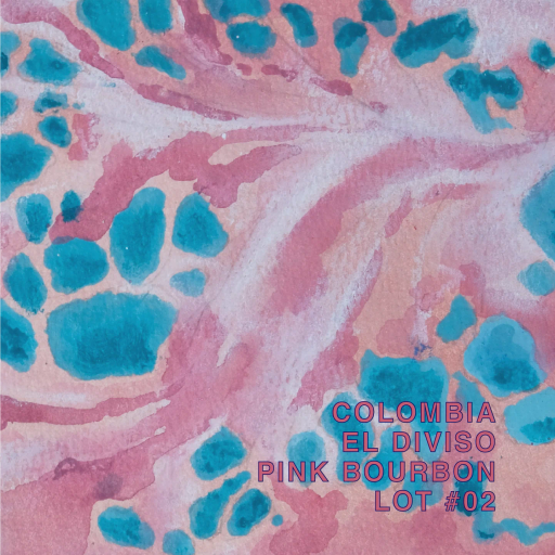 Colombia El Diviso Pink Bourbon Lot #02
