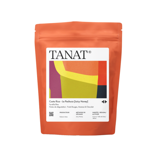 La Pachuca [Juicy Honey]