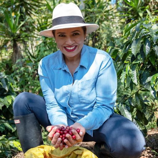 Honduras El Puente【Geisha】