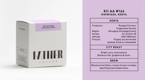 Kii AA #166, Kirinyaga, Kenya