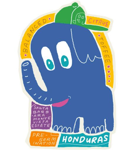 Monte Vista - Honduras (Washed)