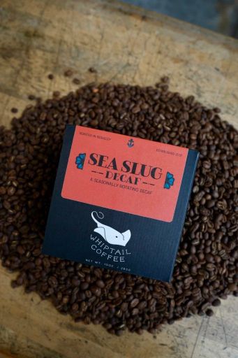 Sea Slug Decaf - Rotating Seasonal Decaf