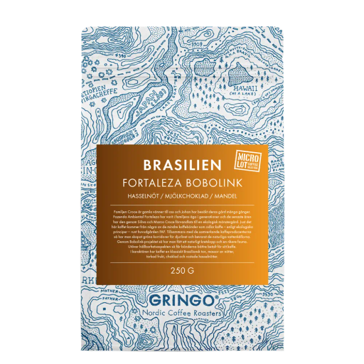 Brasilien Fortaleza Bobolink